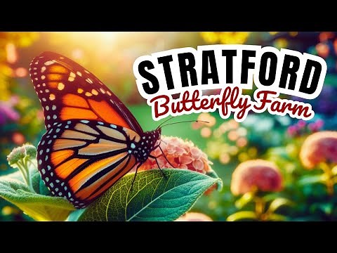 Inside The UK's Largest Butterfly Farm - Stratford-upon-Avon