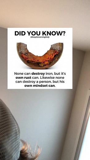 #greenscreensticker #funny #memes #fyp #foryou