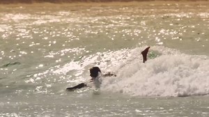 Dave Rastovich is one with the ocean. Full video here: https://goo.gl/WvyBiw Stone & Wood Brewing | Garage Entertainment