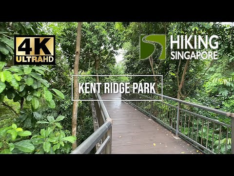 Kent Ridge Park - Hiking Singapore [4K] [HDR]