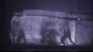 Blue Man Group - The Complex Rock Tour Live (2003)