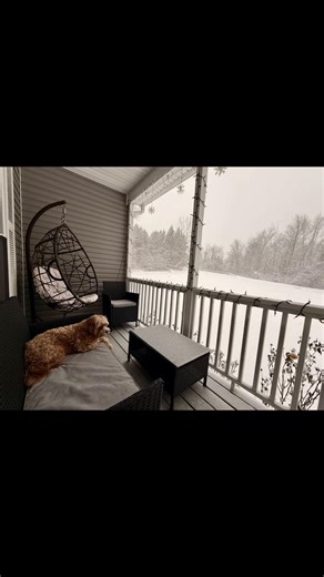 Teddy baby 🐾 🇦🇱 (@teddysworld2021)’s videos with Snow Day - Tabitha Meeks & Ryan Corn