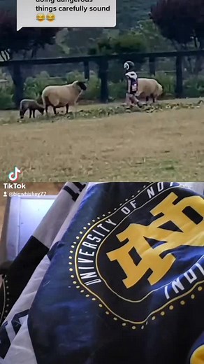 Big Whiskey (@bigwhiskey77)’s videos with original sound - Big Whiskey