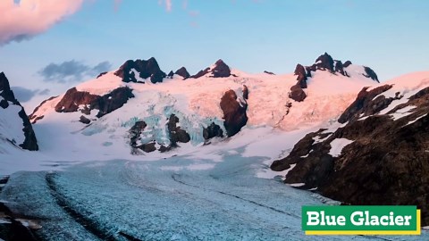 Let's Go To Washington