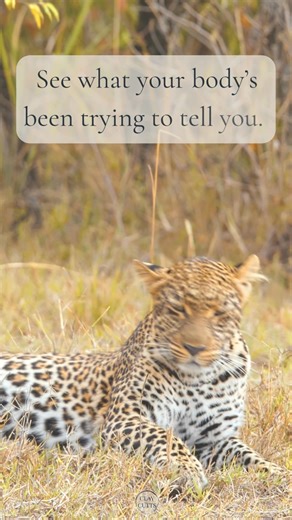 Break free from survival mode! 🚀 You're not broken, just stuck in go-mode. Take the 7-minute quiz to unlock your calm & start thriving today! | Square Peg Coaching