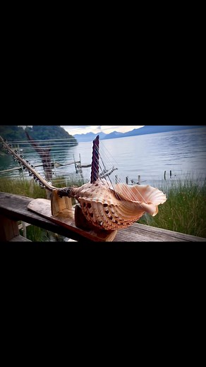 1.6K views · 77 reactions | Triton shell harp | RootFlute | Facebook