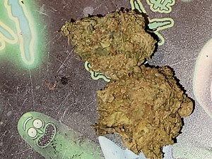 Strawberry Ice | Marijuana Strain Reviews