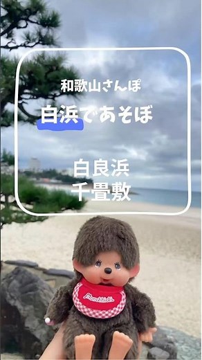 和歌山県の白浜をお散歩しました。千畳敷はまさに地球を感じさせてくれます。大自然の絶景に感動しました。#和歌山観光 #もんちっち #白浜 #白良浜 #千畳敷 #三段壁