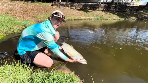 Watch what happens when a predator shows signs of something strange