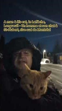 A man & his cat, Laflèche Longueuil - Un homme et son chat, St-Hubert, rive sud de Montréal