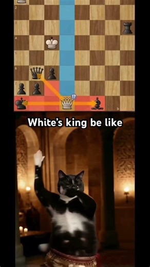 This “safe” king is actually LOST… can you see why? #chess #shorts