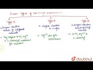 TYPES OF RESTRICTION ENDONUCLEASES