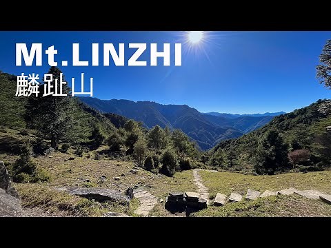 麟趾山環走9km，玉山群峰相伴，塔塔加大鐵杉豐富生態景觀老少皆宜｜山上加美Lovely Hill