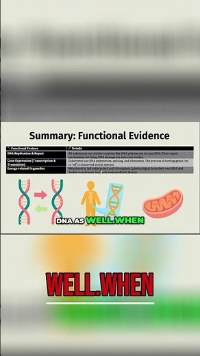 Gene Expression: DNA to Protein Explained Simply