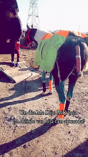 Pochi Querida🙌💘🚀🔥 #Lapochi💘 #studlafamilia🇦🇷 #lachiquitaquesecreegrande