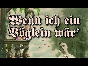 Wenn ich ein Vöglein wär' | German folk song | English subtitles