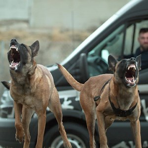 1.5K reactions · 257 shares | Coffee: It isn't necessary for daily life, but it sure helps. At Black Rifle Coffee Company, we make some damn good coffee. #freedomfuel | Black Rifle Coffee Company | Facebook