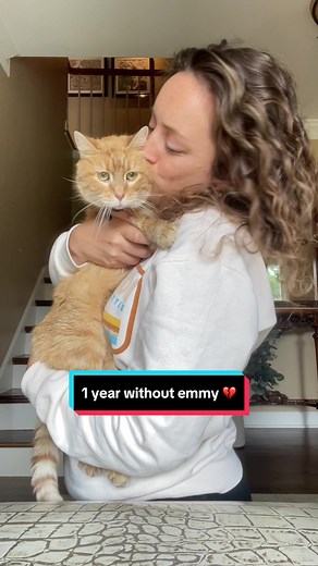 1 year without my sweet Emmy baby 🥺💔 i have no doubt that my girlie knew the grief of losing her & experiencing heartbreak was too much for me, & she sent me her greatest gift: my new best friends 🥰 i love you forever, Emmy girl! you are on my mind & in my heart every single day. i’ll miss you until the end of time. #goldieandrosie #kittensoftiktok #catsoftiktok #petloss #petgrief #catsoftiktok #catmom #adoptdontshop #kittens #cats #catsiblings #catlover #calicocat #kitten #cat #catloss #catg