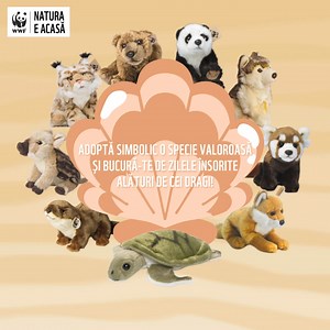 73 reactions · 12 shares | În colecția de vară a plușurilor noastre,...