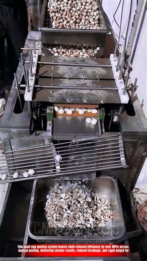 Innovative Quail Egg Peeling Machine System: Best Fast Clean-Shell Removal Action