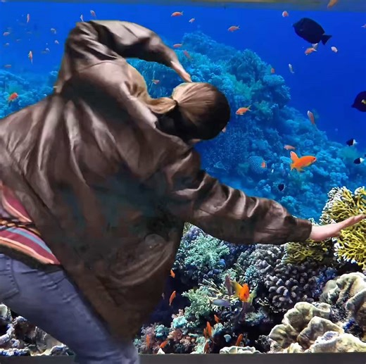 our spring break music video