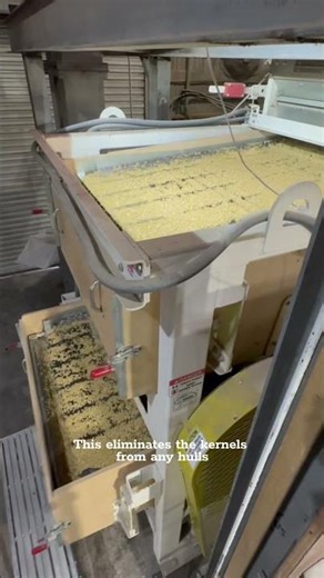 BTS: Cleaning Butterfly White Popcorn at ProHarvest🍿