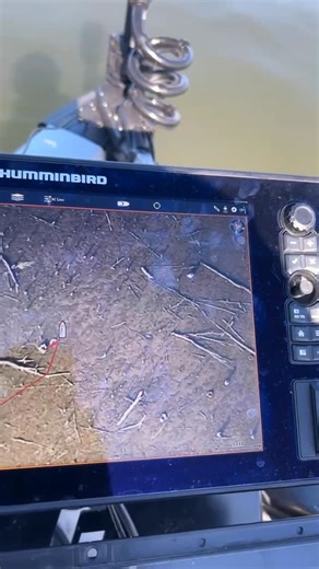 Mark Cook | The best mapping going around is hand down the @humminbird_au_nz Lakemaster Premium Mapcard as demonstrated by cod legend @_kyle_86 at Lake... | Instagram