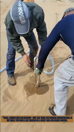 Desert Control: How to Fix Sand with Simple Tools