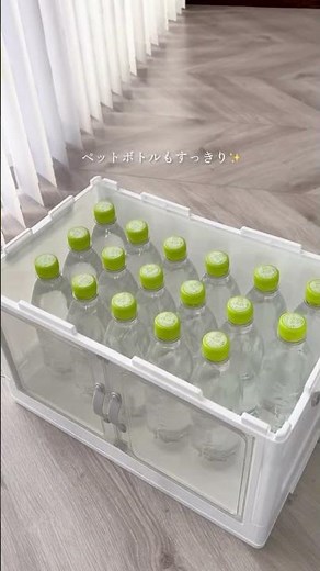 The Ultimate Solution for Stock Organization! Declutter with Daiso's Genius Storage Case✨