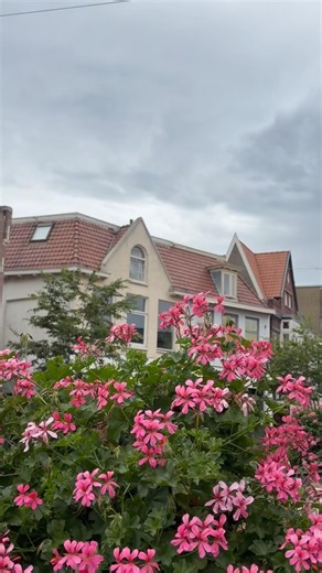 Why Naarden-Bussum Is One of the Netherlands Best-Kept Secrets