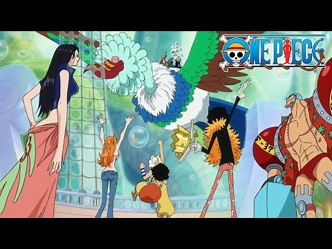 Straw Hats Reunite After 2 Years! | One Piece