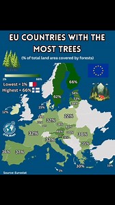 Any surprises ❓🇪🇺🌳🌲 Follow for more map content 🗺️✅ 🙋🏻‍♂️About me: I’m a Master’s student studying international economics passionate about geography, maps, and sharing international relations data with the world. I appreciate all support and any follows and shares would go a long way so I can keep the account going🙏🏼❤️ #maps #europe #forest #trees #nature #eu #stats | IR Maps