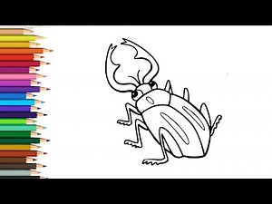 How to Draw Beetle - Step by Step | Mady Arts