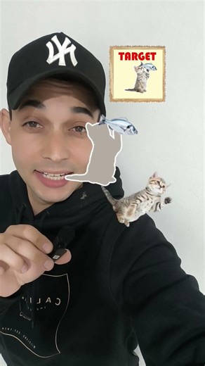 Kitten Challenge Level 2
