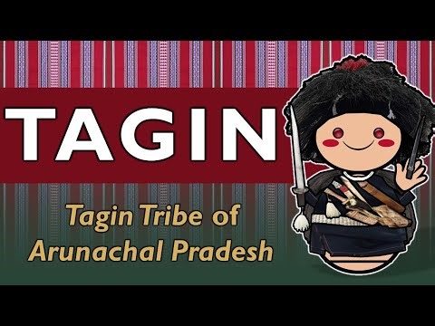 Tagin Tribe of Arunachal: Language, Lineage, and Sacred Traditions