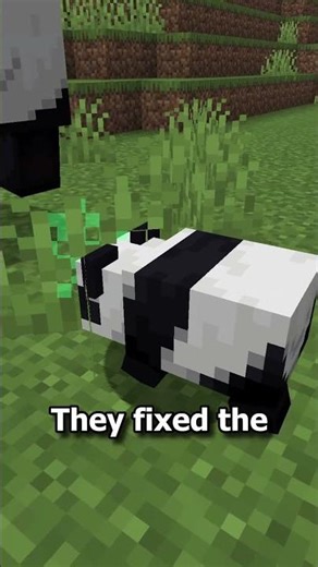 Minecraft Java Edition - 26.1 Snapshot 11 Quick Showcase: Baby Mob Bug Fixes & More! #minecraft