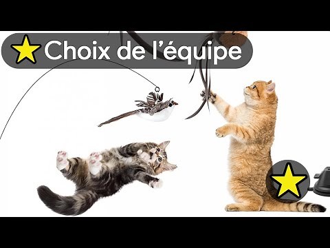 🏆 TOP 3 MEILLEUR JOUET OISEAU VOLANT POUR CHAT 2025 🔥