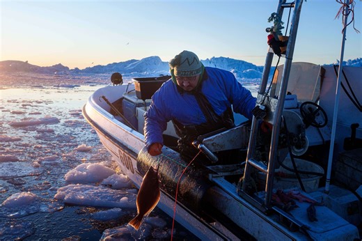 'It's too warm': Greenland's fishermen are under threat from climate change