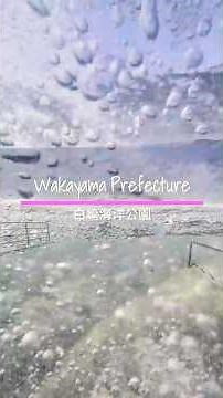 🌊『日本のエーゲ海』⁉️真っ白な絶景が広がる『白崎海洋公園』に行ってみた！✨🏕️ #展望台