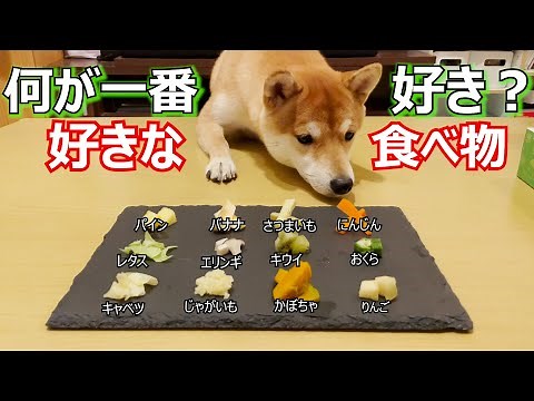 [Shiba Inu] [Food] What's your favorite food? We did a likes and dislikes test with healthy veget...