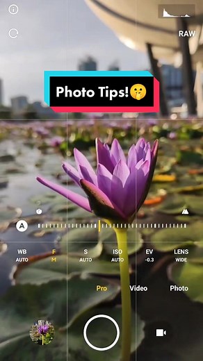Improve Your Photos with Pro Camera Mode!