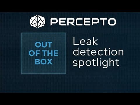 Using drones for leak detection with automated inspection and monitoring system
