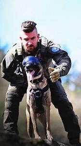 Dogs is friends, not food 👌 #dogtraining #fyp #military #tactical #k9handler #tacticool #dogsoftiktok #foryou | Military dogs