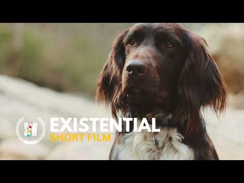 Good Boy Banjo | Award-Winning Short Film