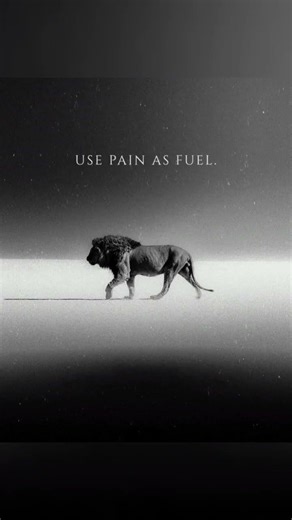 trading code northern Indian Market shorts video RK #trading