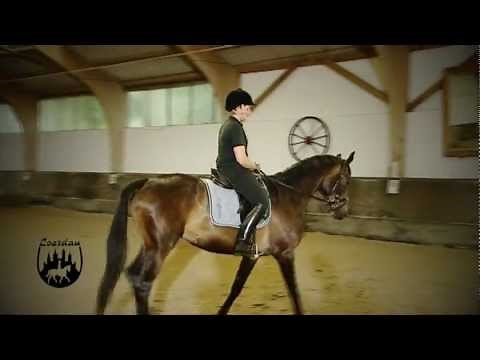 Loesdau Lessons: Basics mit Kati: Richtig auf dem Pferd sitzen