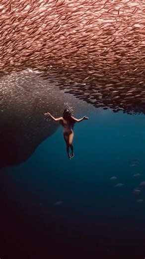 Jill Ireland ♡ on Instagram: "Healing happens beyond one breath. 🎥 @nofinsnatty 🩱 @realise_japan"