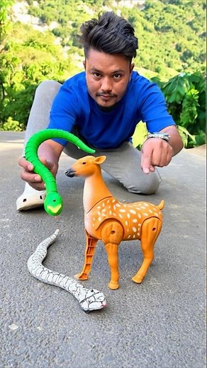 Fast Snake 🐍 & Deer 🦌 Unboxing dise