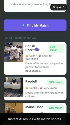 AI Cat breed finder app