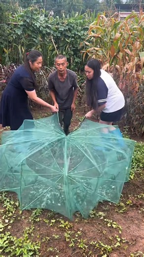 Village Old Man’s Strange Fishing Method 😳🐠#shortsvideo #trending